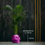Handmade Pot Planter-52454980