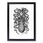 Octopus in Black and White by George Shaw - Framed Print-55577090-55577086