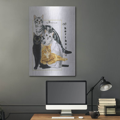 «American Shorthair» par Barbara Keith