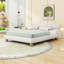 Grand lit plateforme tapissier Teddy, design minimaliste courbé