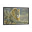« lion », impression sur toile-29479844-73579791-73579792