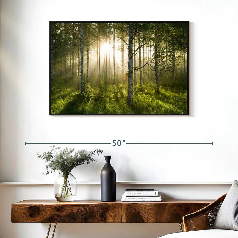 Birch Forest Sunlight, Cadre flottant noir, 37 po x 25 po