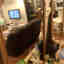 Photos des clients 2 de 3