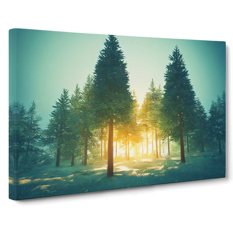 Spectacular Pine Tree Forest - Wrapped Canvas, 50cm H x 76cm W x 3cm D