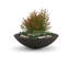 Jardinière en béton peu profond Oceanside-935299279-935299313