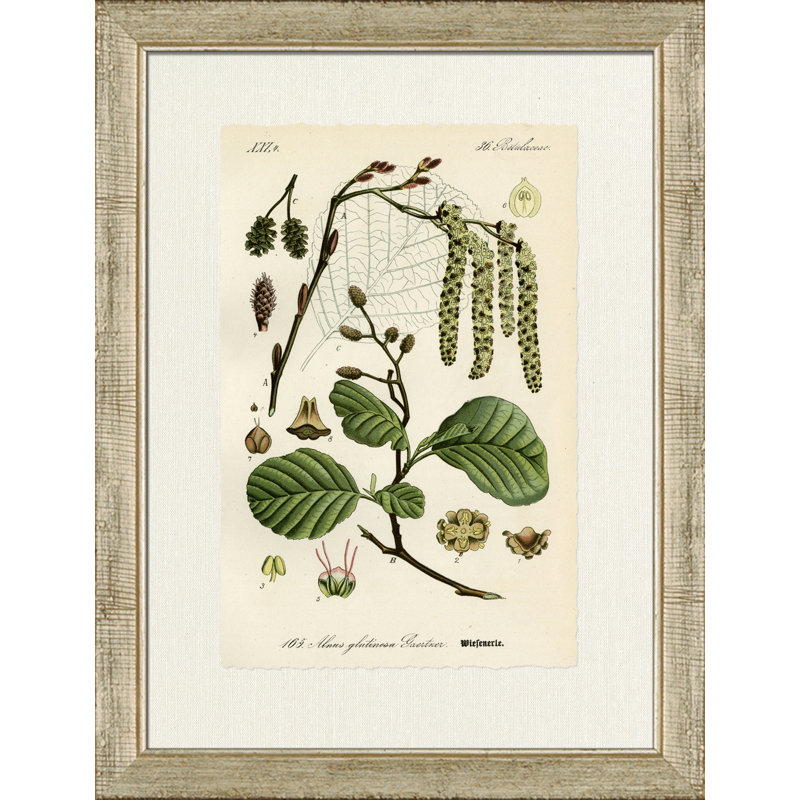 Wiefenerle Print