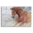 " Equine Exercise " by Robert Campbell-740546333