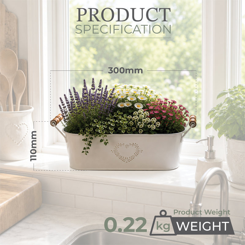 Metal Plant Trays/ Stands
