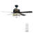Amberlin 52'' Ceiling Fan with Light Kit