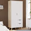 Vankka Manufactured Wood Wardrobe