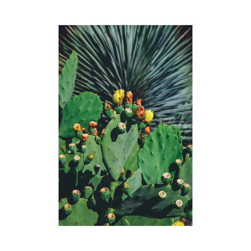 Wild Blooms by Bethany Young - Print on Canvas, Wrapped Canvas, 152.4cm H x 101.6cm W x 3.81cm D