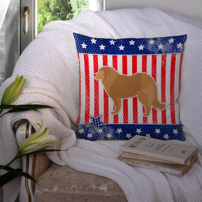 Coussin intérieur/extérieur Patriotic