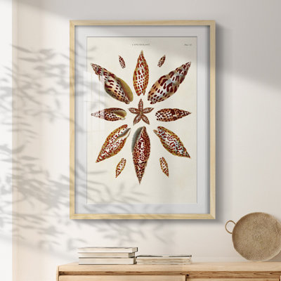 Kanter -Gallery Wrapped Canvas