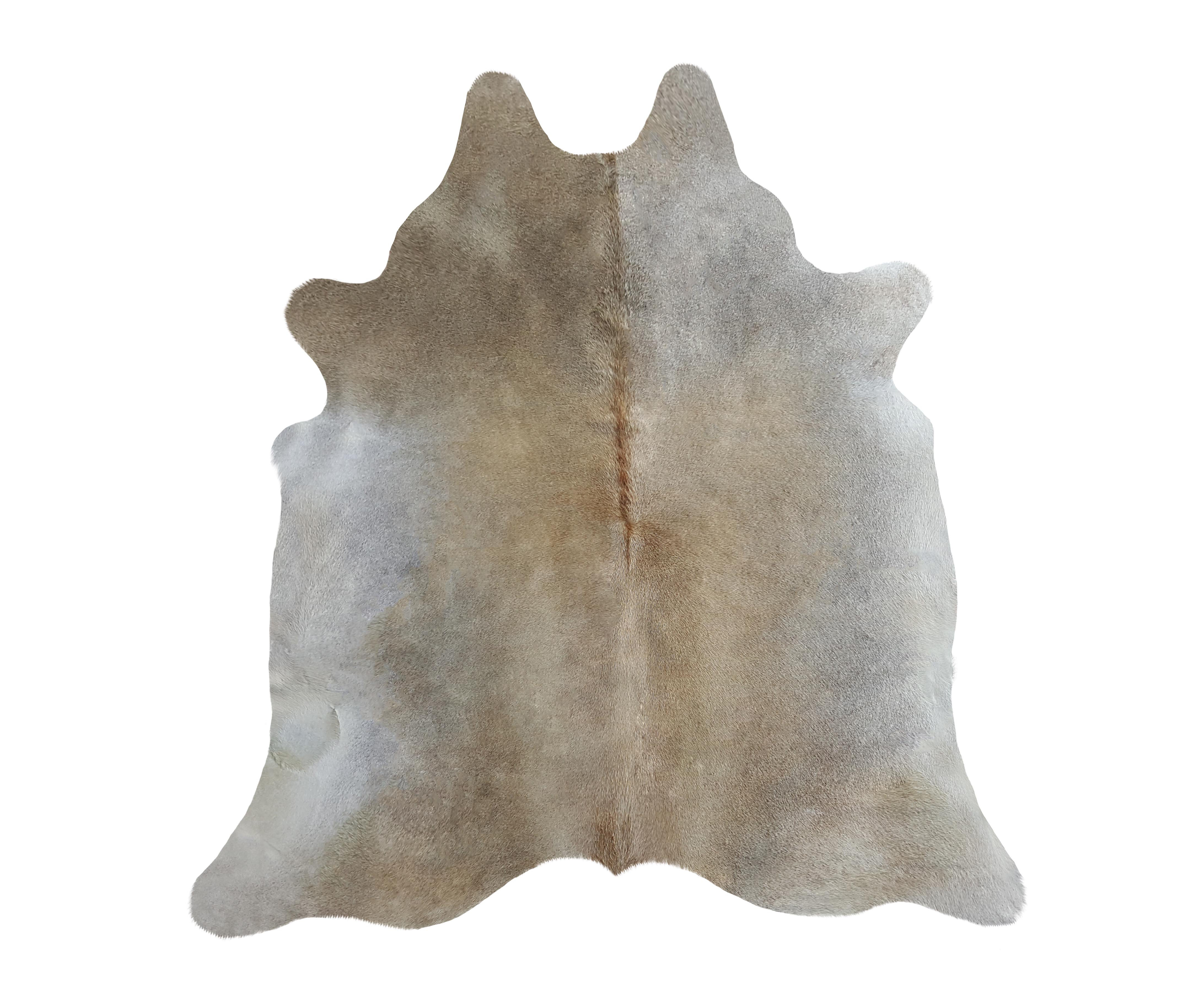 Union Rustic Genuine Greyish Beige Cowhide Rug 6X6'' & Reviews ...