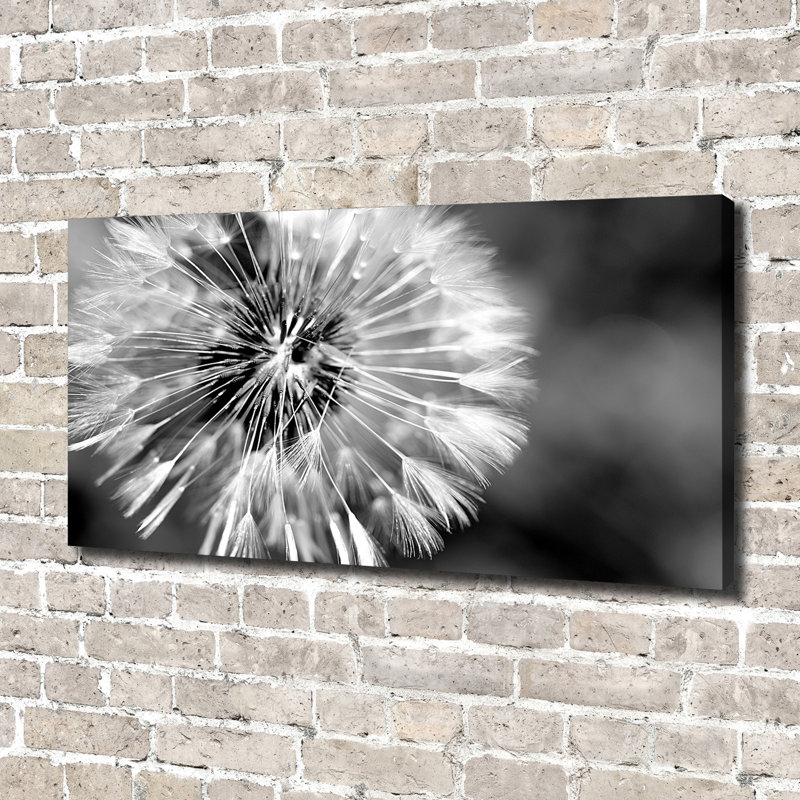 Dandelions - Wrapped Canvas Print