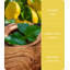 Bamboo Everyday Plant / Floral Scented Jar Candle with Glass Holder - Patchouli & Guaiac Wood-113446474-113446476