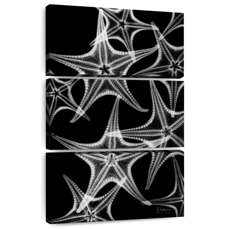 Brampt White Starfish