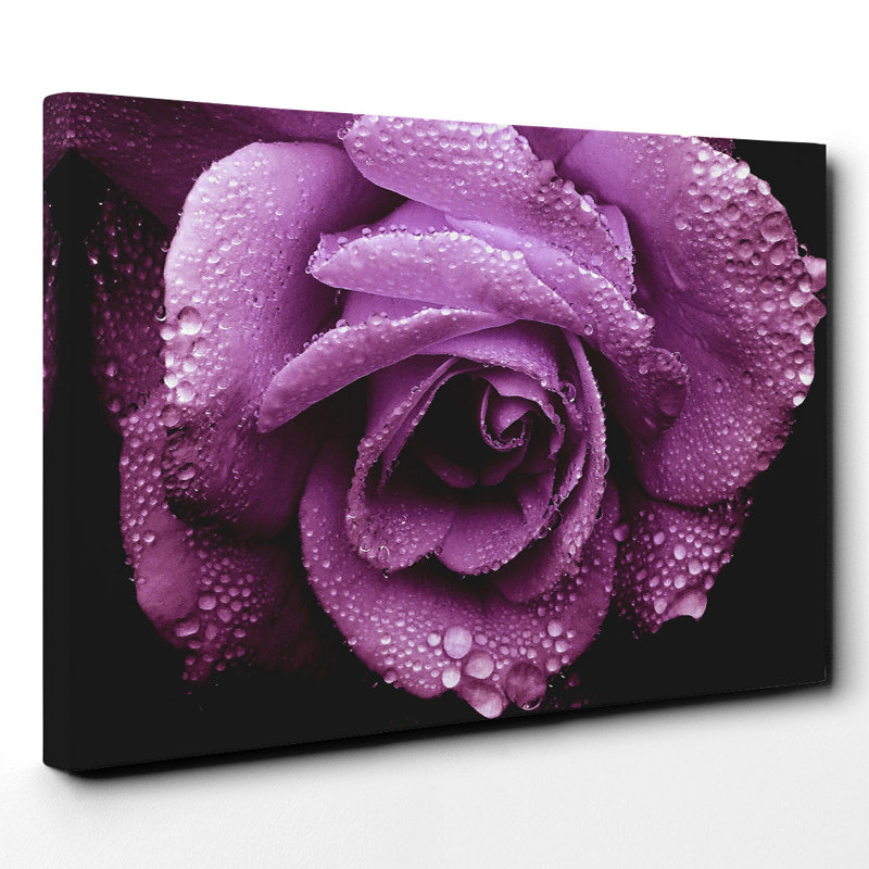 Wrapped Canvas Print, 70cm H x 100cm W