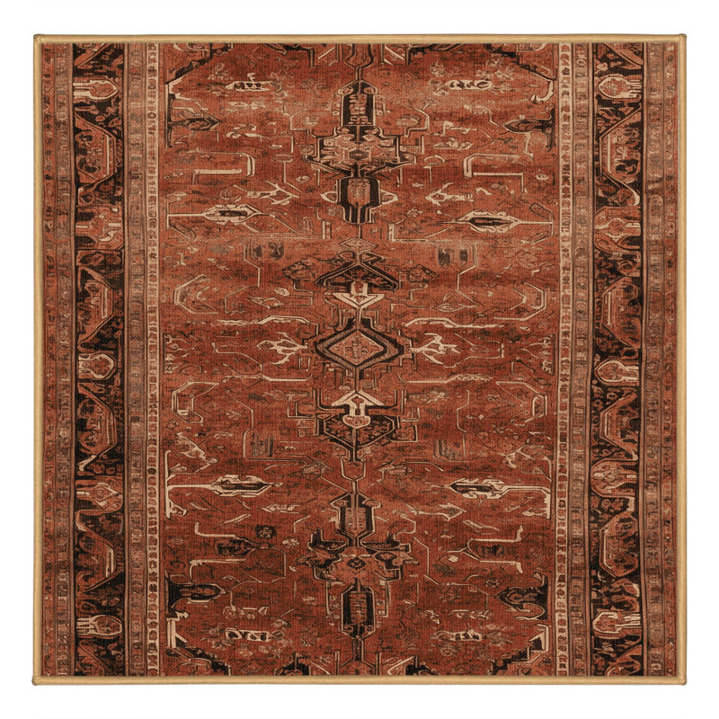 Machine Washable Persian Brown Area Rug, Square 4'