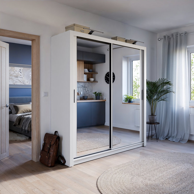 Benkley 2 Door Manufactured Wood Wardrobe, Matte White