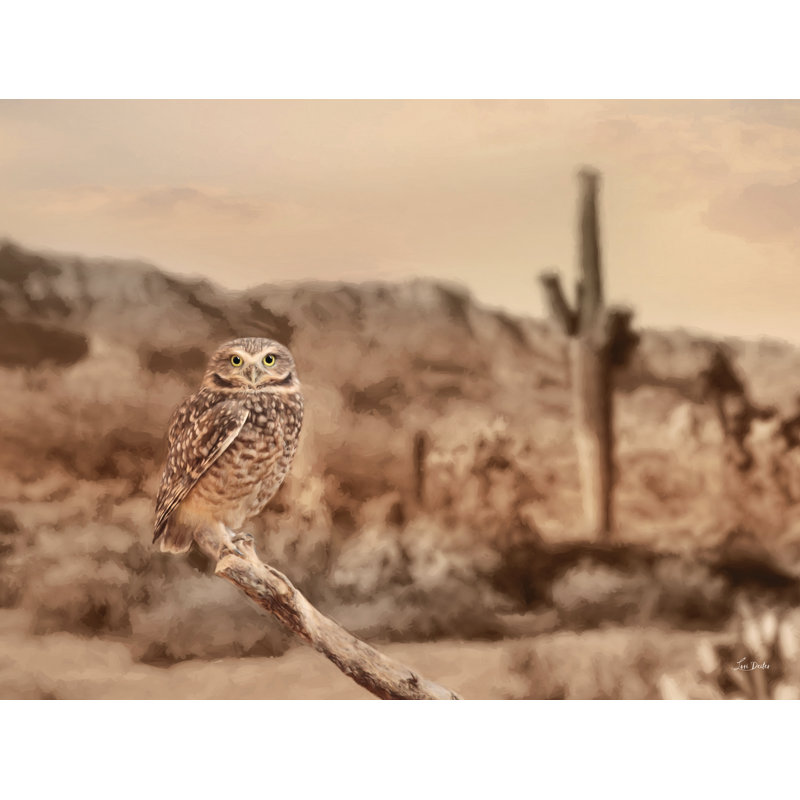 Hibou du désert, H 20 po x l 30 po