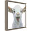 Brynn Animals Canvas Art-1490545389