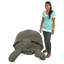 Statue à l’échelle sauvage animaux galapagos en écaille Grand