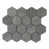 Warm Gray/Dark Gray