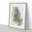 Green Hermit Hummingbird in Abstract - Picture Frame Graphic Art Print-55736276-55736280