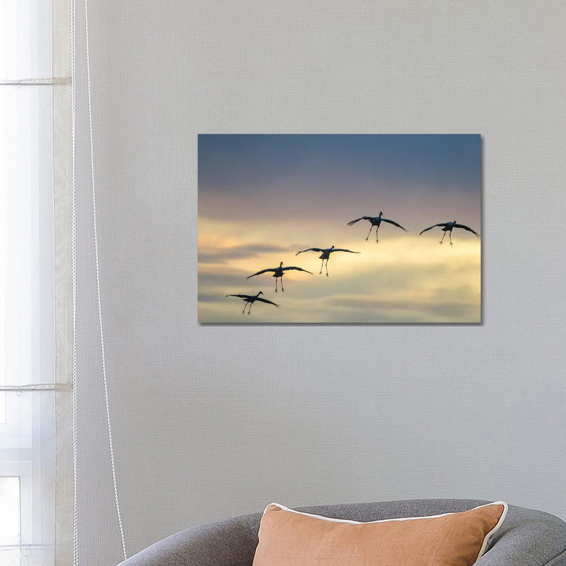 USA, New Mexico, Bosque Del Apache National Wildlife Refuge. Sandhill Cranes Landing At Sunset. by Jaynes Gallery - Wrapped Canvas Gallery-Wrapped Canvas Giclée
