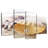 Aletra Shell With Pearl-108810309