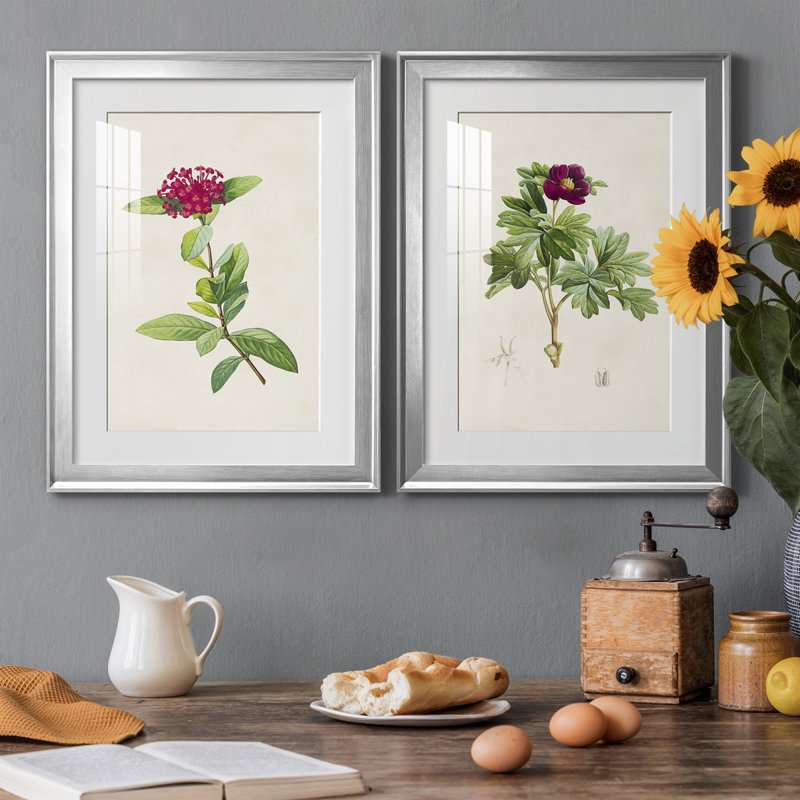«Pretty Pink Botanicals II», reproduction encadrée de qualité supérieure - prête à être accrochée, Cadre argenté