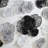 Flower Wall Décor-1849220165
