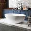 Baignoire de trempage autoportante 65 pouces