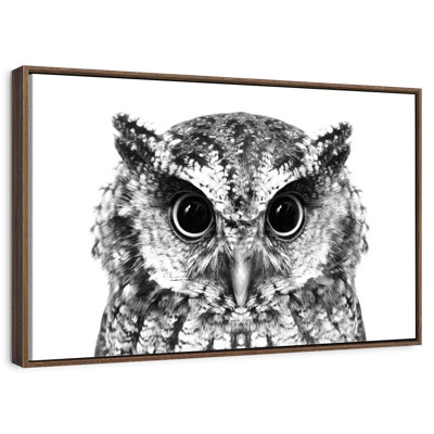 Hibou envoûtant