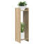 Plant Stand-549315683-549315681