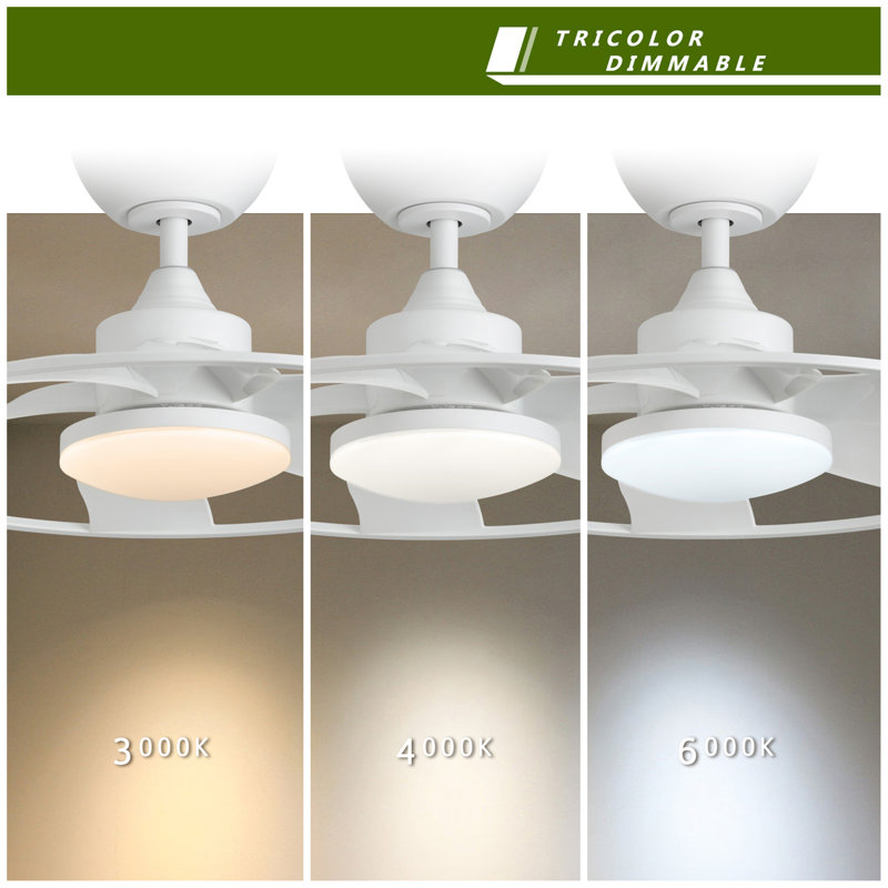 Light Pro 22 po Ventilateur de plafond intelligent à DEL avec télécommande, Blanc