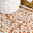Moten Medallion Textured Weave Orange/Cream Indoor/Outdoor Rug-211141335