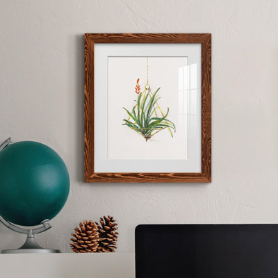 Gardenaire I - Peinture encadrée
