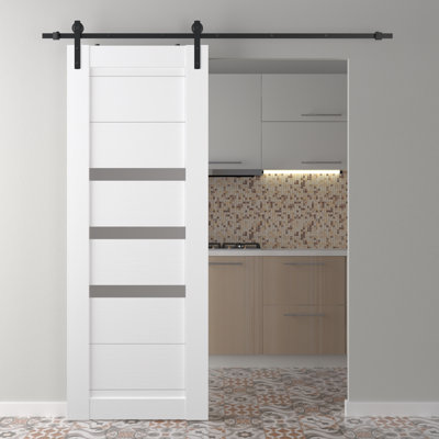 Dora Paneled Manufactured Wood and Glass Barn Door with Installation Hardware Kit