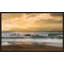 «New Dawn», reproduction-30897809-30897954