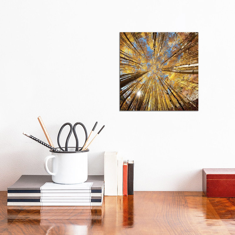 Autumn Splendor by OLena Art - Wrapped Canvas Painting, 30.48 cm H x 30.48 cm W