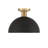 Darrah 1-Light Ceiling Light-1811460160