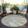  Machine Washable Indoor/Outdoor Chantille ACN1026 Rug