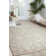 Carlie Viscose Oriental Indoor Rug
