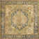 Green Nosara Indoor/Outdoor Traditional Rug