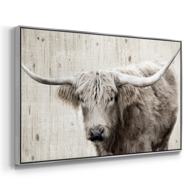 Toile tendue encadrée Longhorn, H 27 po x l 41 po x P 2 po, Argent