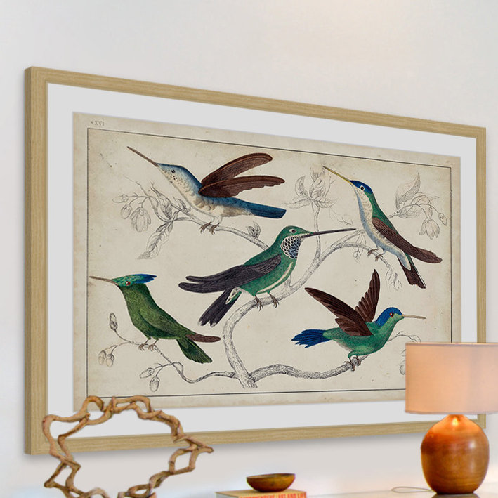 «Hummingbirds», reproduction encadrée, H 24 po x l 36 po x P 1,5 po