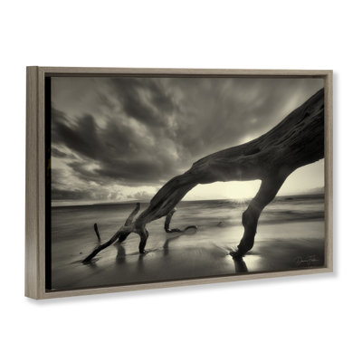 Toile flottante encadrée «Tree Trunk on Shore» par Dennis Frates