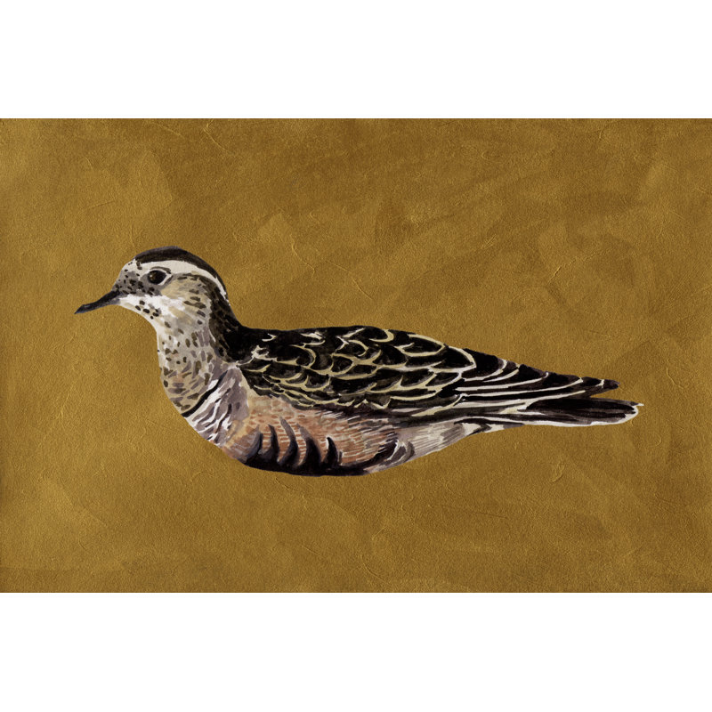 Feathered Friend I 1 Piece Wrapped Canvas Painting, 20cm H x 30cm W